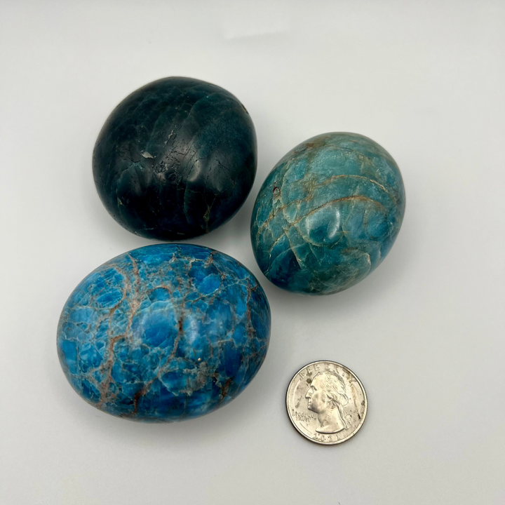 Apatite Palm Stone