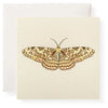 Butterfly Enclosure Card