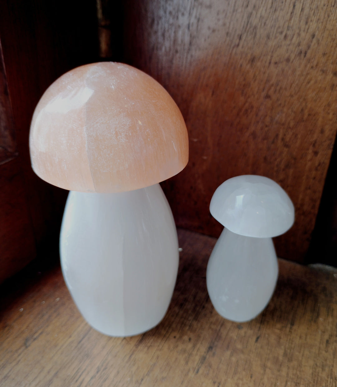 Selenite Mushroom