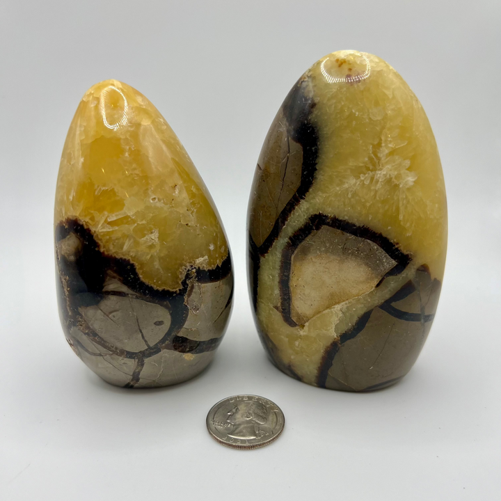 Septarian Flames