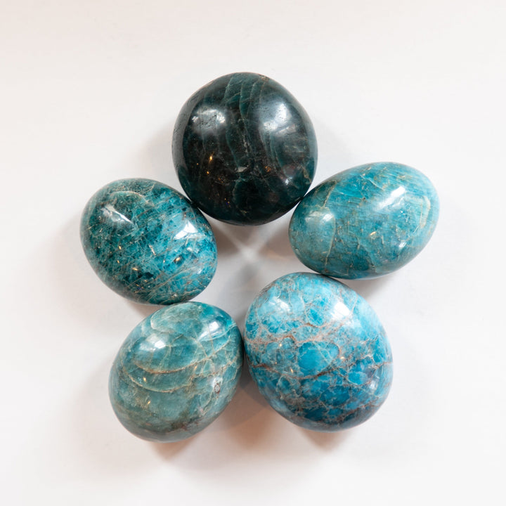 Apatite Palm Stone